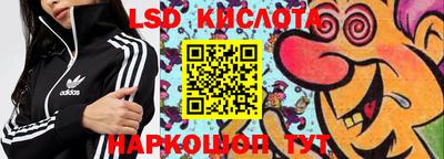 прущие грибы Абинск