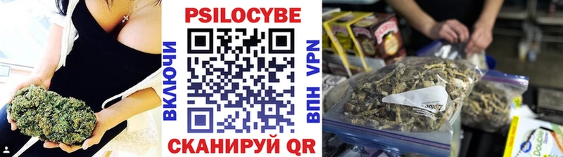 MEGA онион Абинск Псилоцибиновые грибы Cubensis