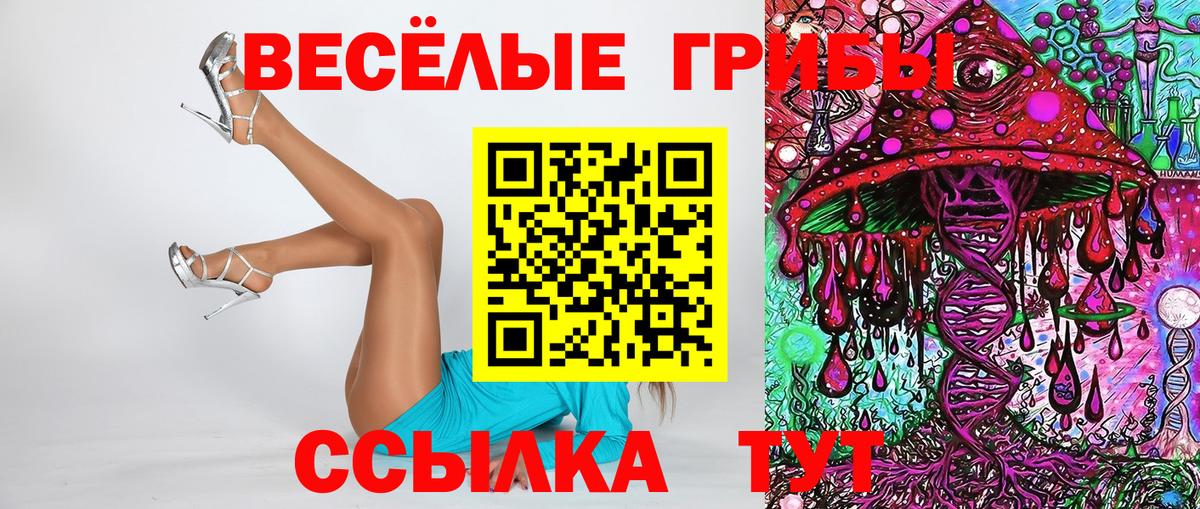 МЕФ Абинск