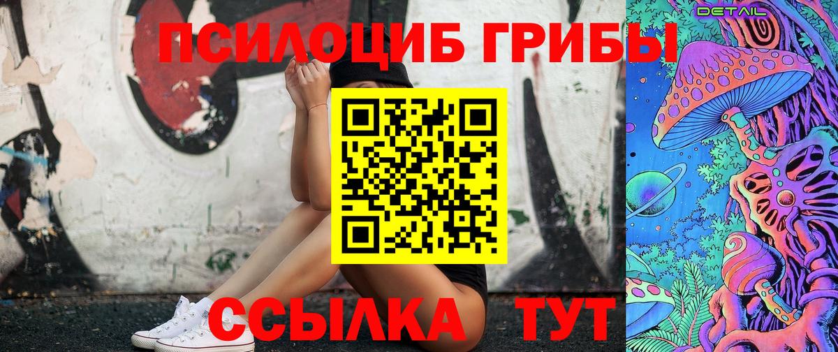 Псилоцибиновые грибы Psilocybe Абинск