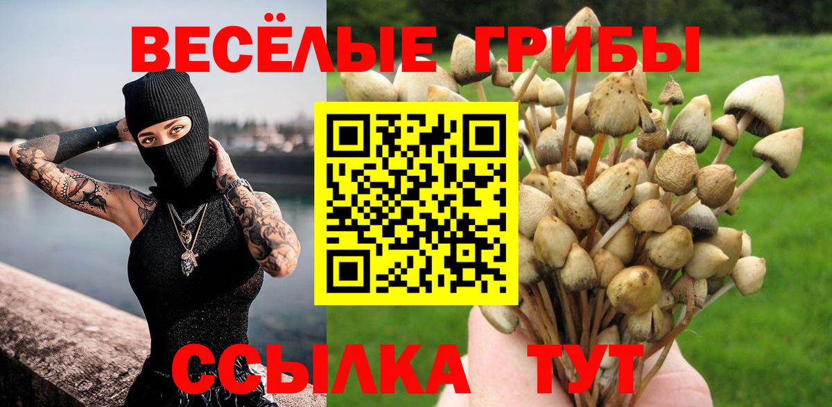 Псилоцибиновые грибы мицелий Абинск