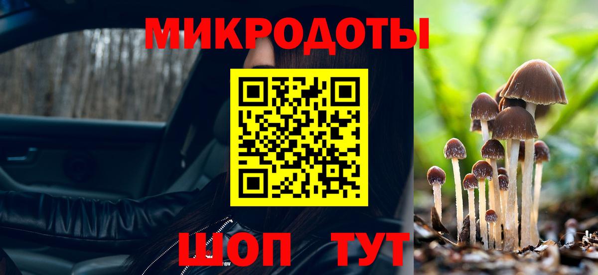Галлюциногенные грибы Cubensis  Вход с VPN  Галлюциногенные грибы мицелий  Абинск 