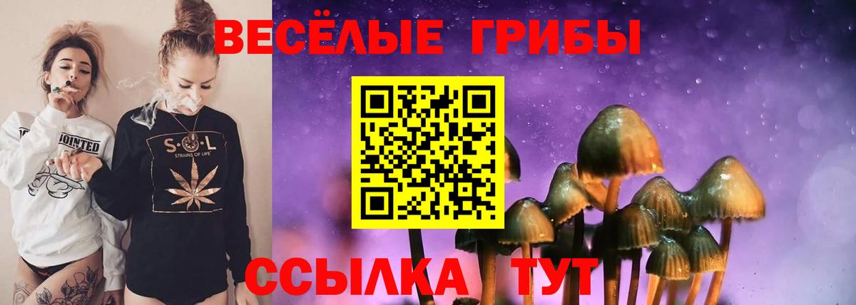 Псилоцибиновые грибы GOLDEN TEACHER  Абинск 